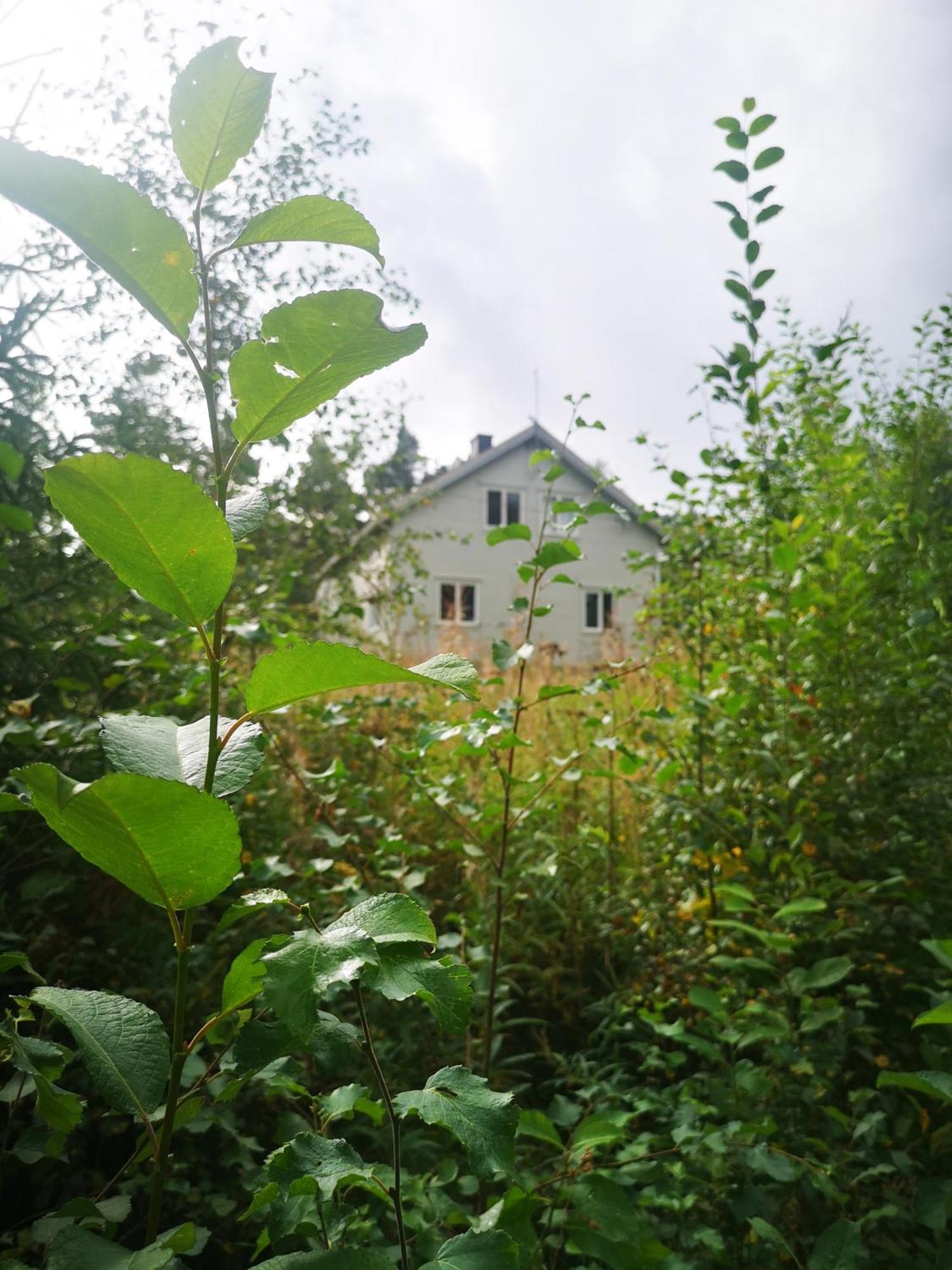 Villa Ka Stor Elvdal Koppang Exterior foto